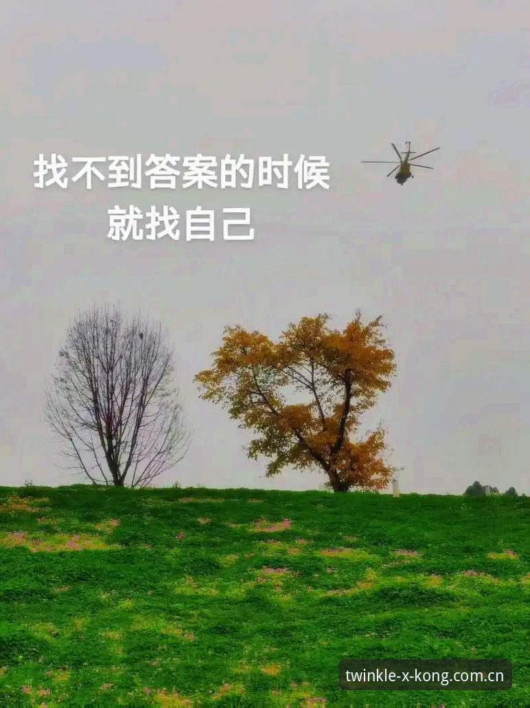 揭秘星空体育数据池：为什么你找不到唯一的标准答案